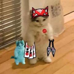 Victor Pedersen Holmboe