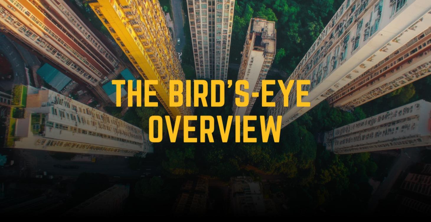 Bird’s-Eye Overview