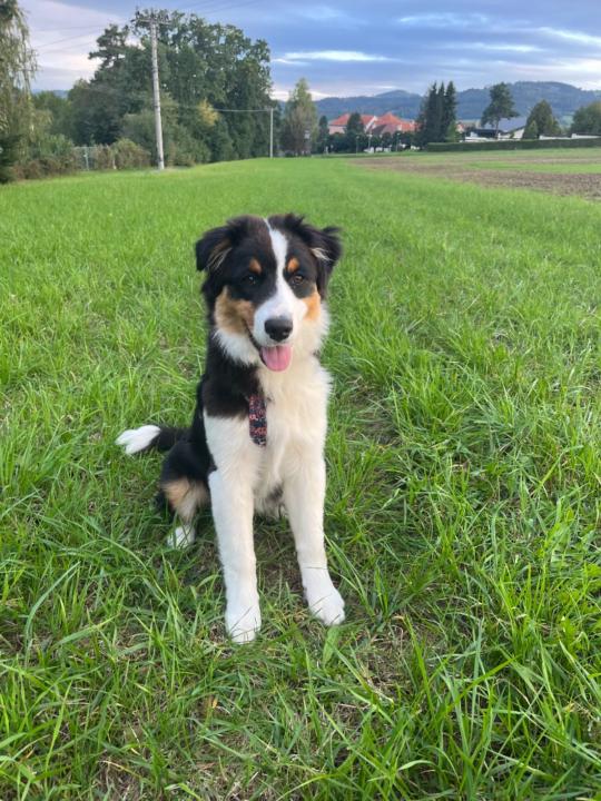 Markéta Ptáčková