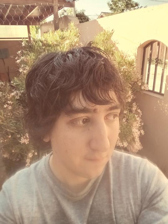 Hori Abarca