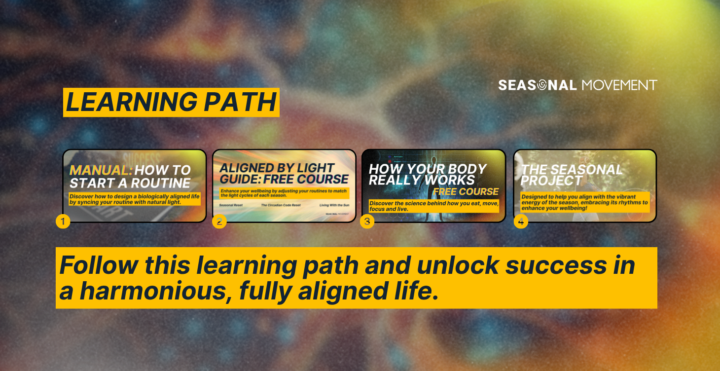 Here’s how our learning path works
