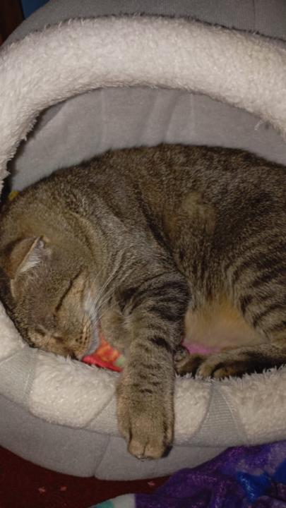 Diego Ignacio Martínez Muñoz