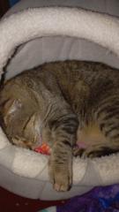 Diego Ignacio Martínez Muñoz