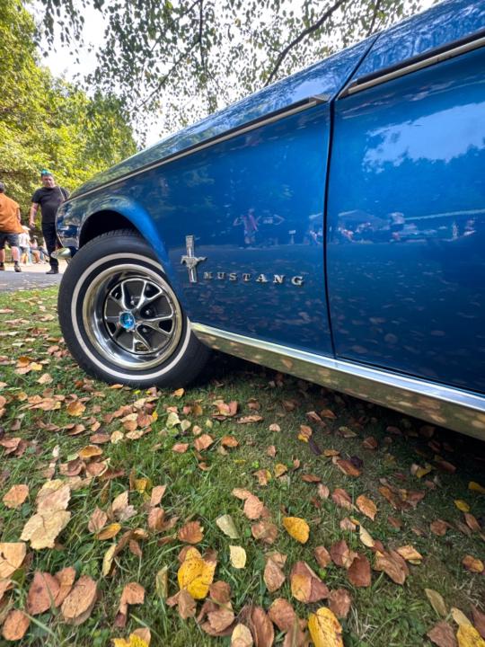 Jorge Juan Jimenez Alinso