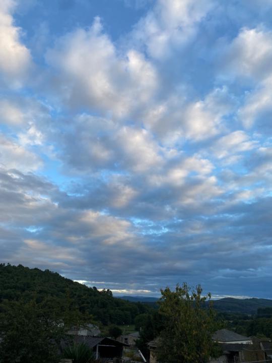 Brenda Lence Iglesias