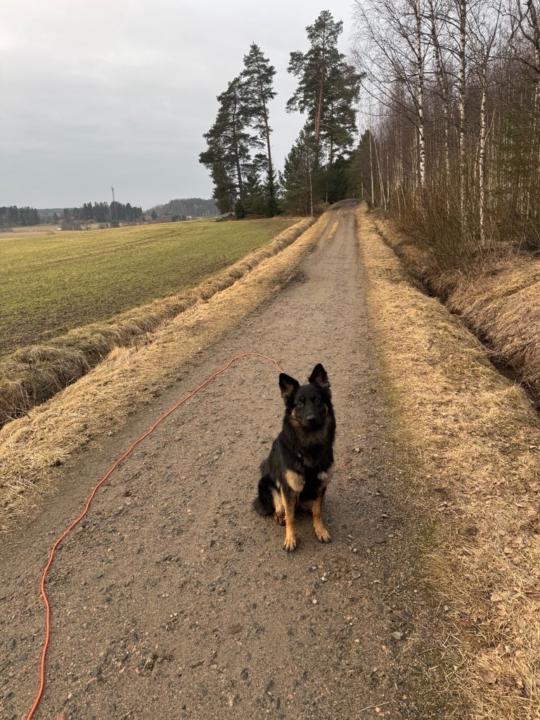 Suvi Parviainen