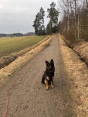 Suvi Parviainen