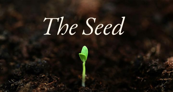 The Seed