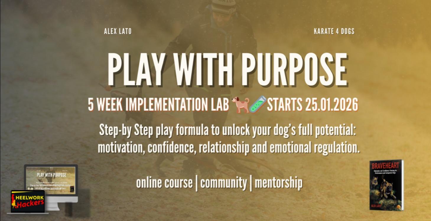 Play with Purpose - the Lab