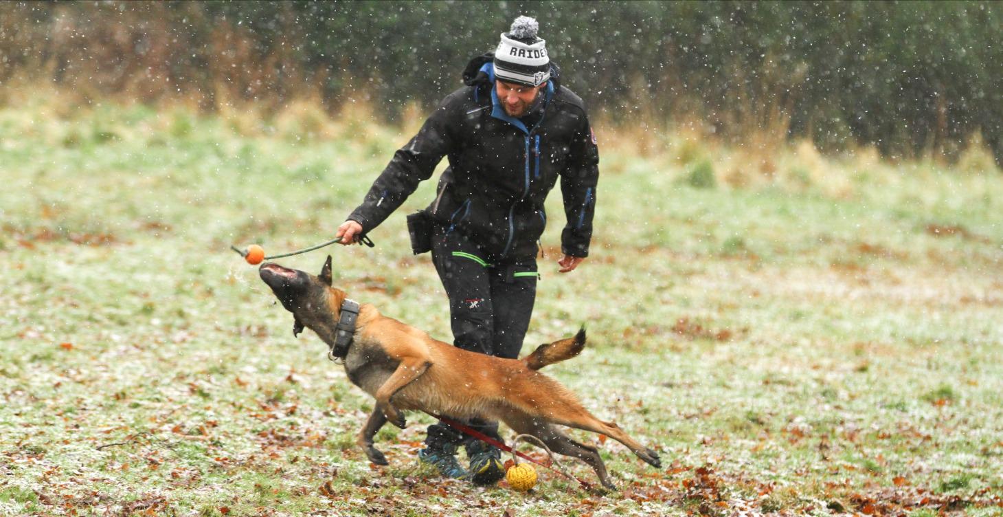 Live Q&A's Recordings