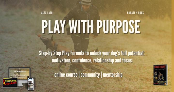 Play with Purpose - The Lab