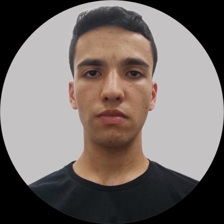 Mateus Silva Steidel