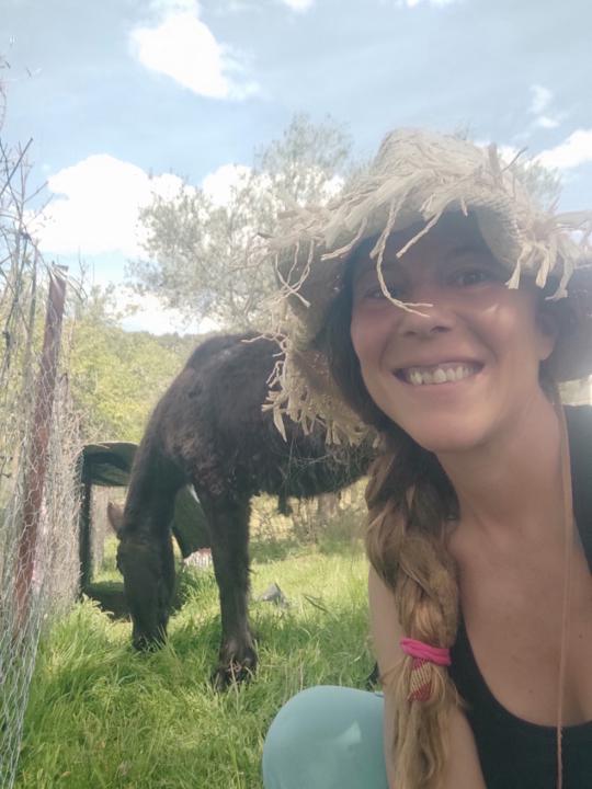 Ana Psicoart