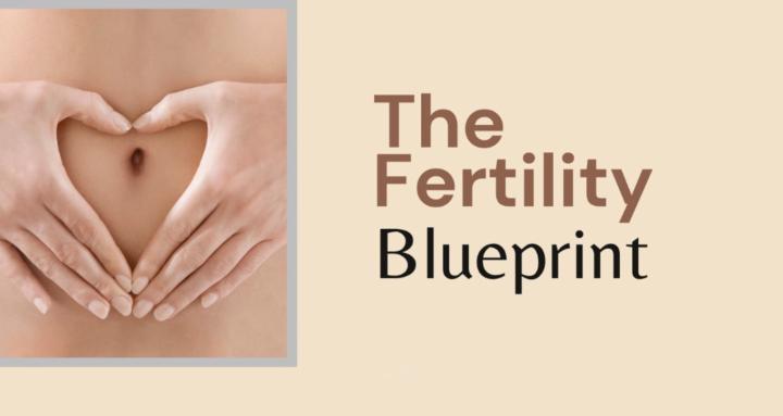 The Fertility Blueprint