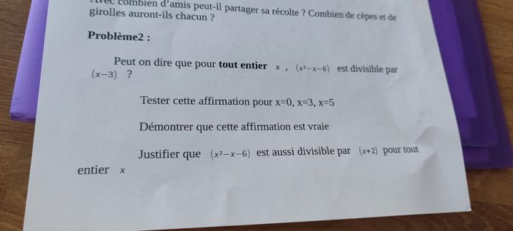 HELP Please Problème divisibilité par x-3 rien compris