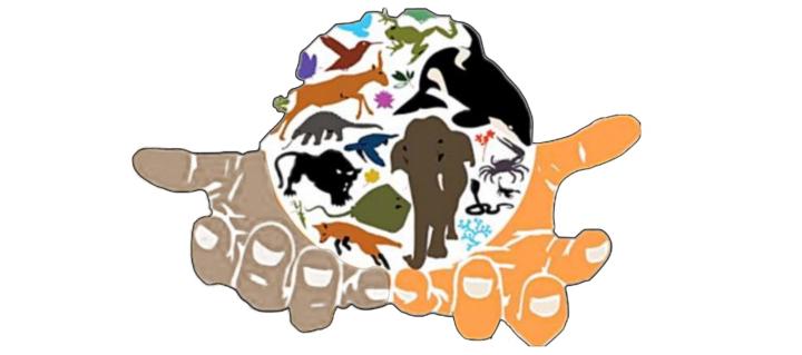 Kebareng Victor Maluleka