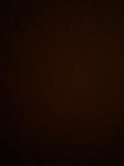 Seif Mohamed El menoufy