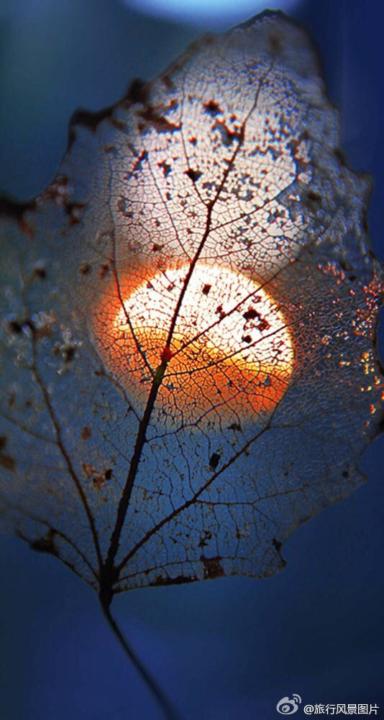 The Endless Nativity of Light