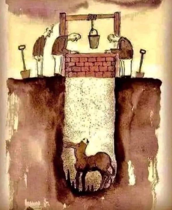 The Donkey in the Well