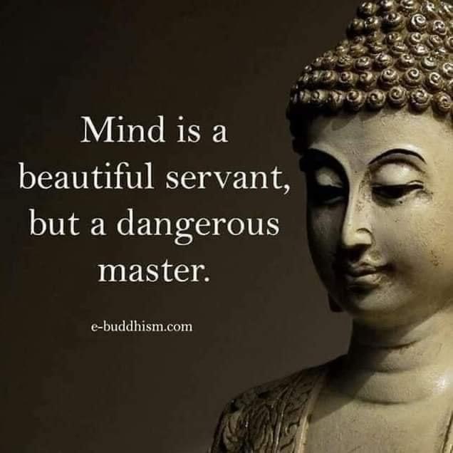 Daily Thought 🤔