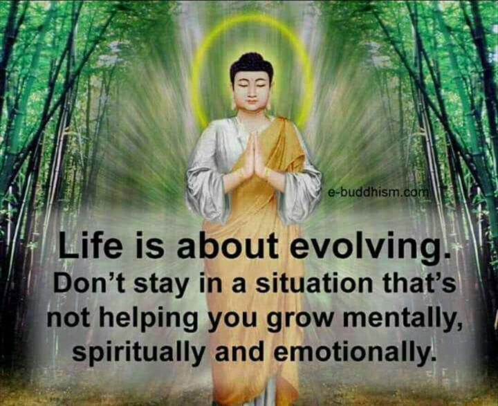 Daily Thought 🤔