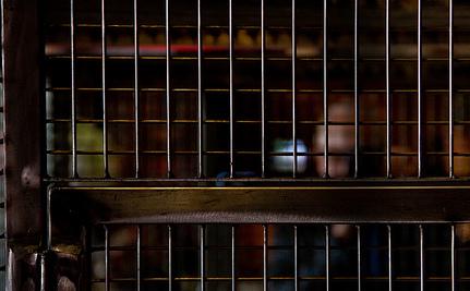 Are You Living in a Gilded Cage You Built Yourself?