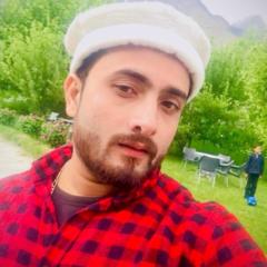 Syed tauseef Hassan