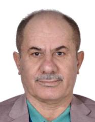 Adel Tayeh