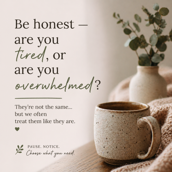 The Gentle Truth