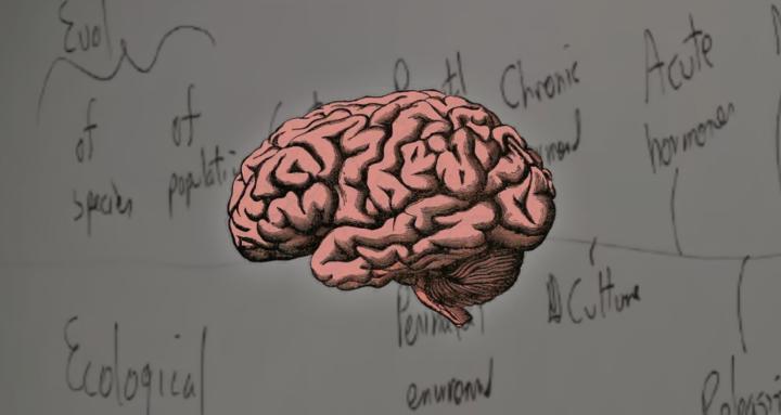 Depth psychology group