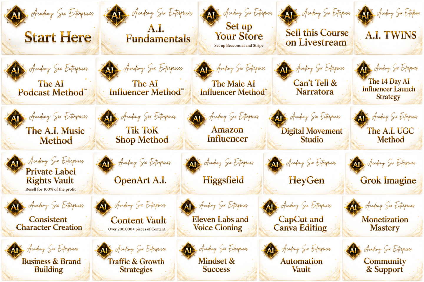 Academy Six A.I. Mentorship