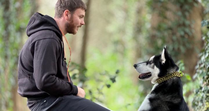 Wagandwalks Dog Training