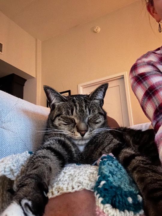 Monique van den Bremer