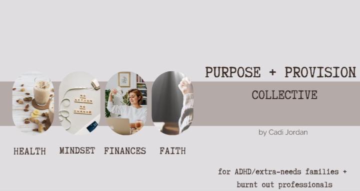 Purpose + Provision Collective