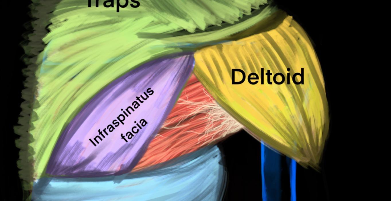 Structural Dominance