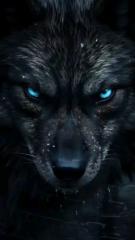 Is-han Wolf