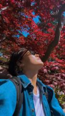 Yeshi Wangmo