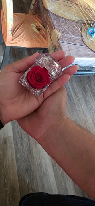 Pineda Sandra maritza