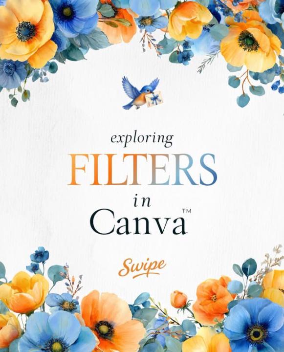 Exploring Filters On Canva 🐦‍⬛