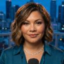 Logo Ventas Diarias con IA