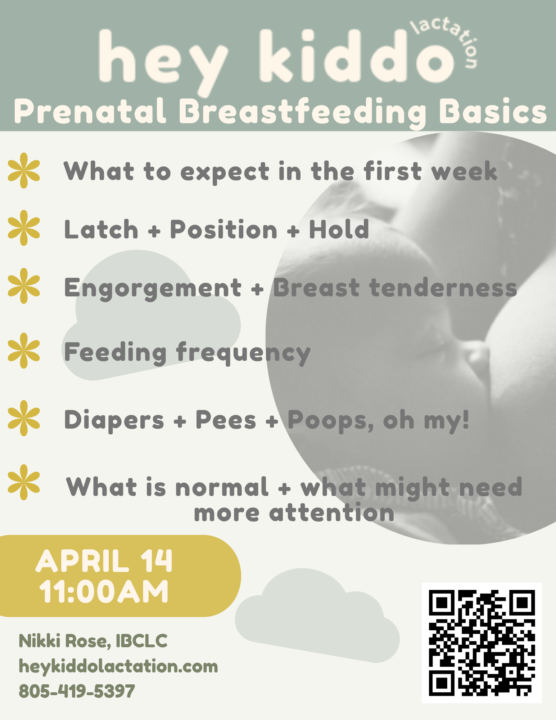 Free Zoom Prenatal Breastfeeding Class with Nikki Rose 