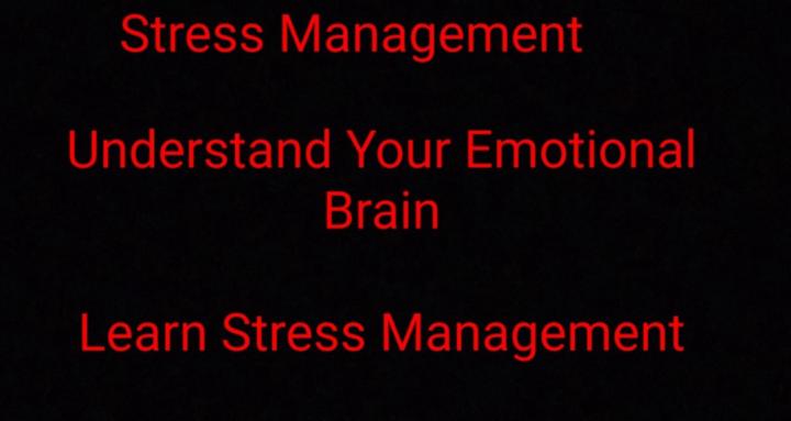 Emotional Regulation Station