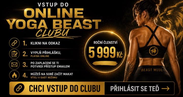 BEAST RESET. Tělo. Mysl.