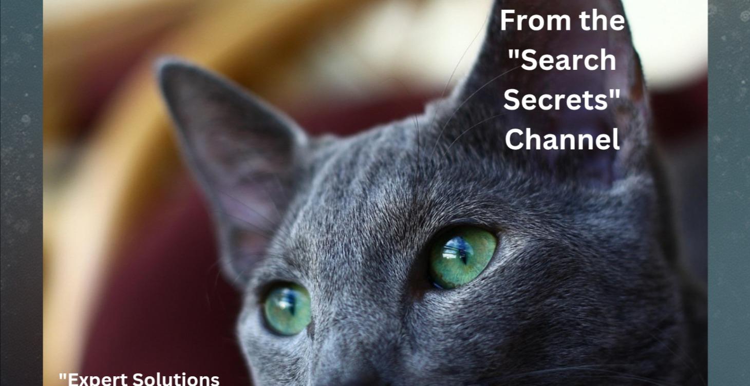 THE CAT ANSWER