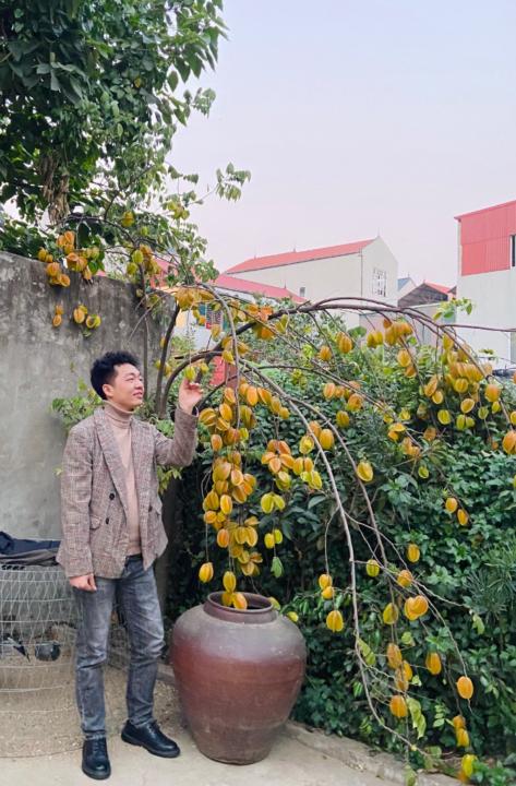 Phan Thuần