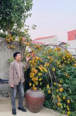 Phan Thuần