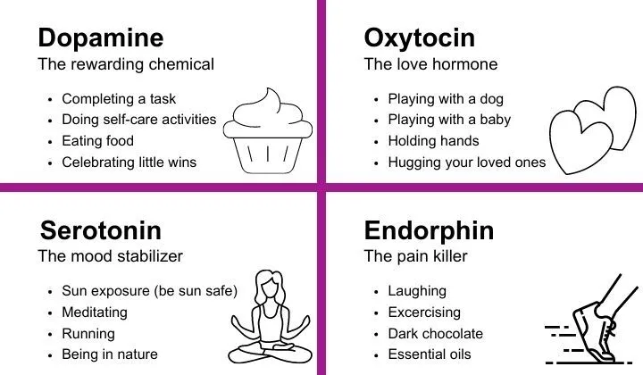 🧪Hormone BioHacking