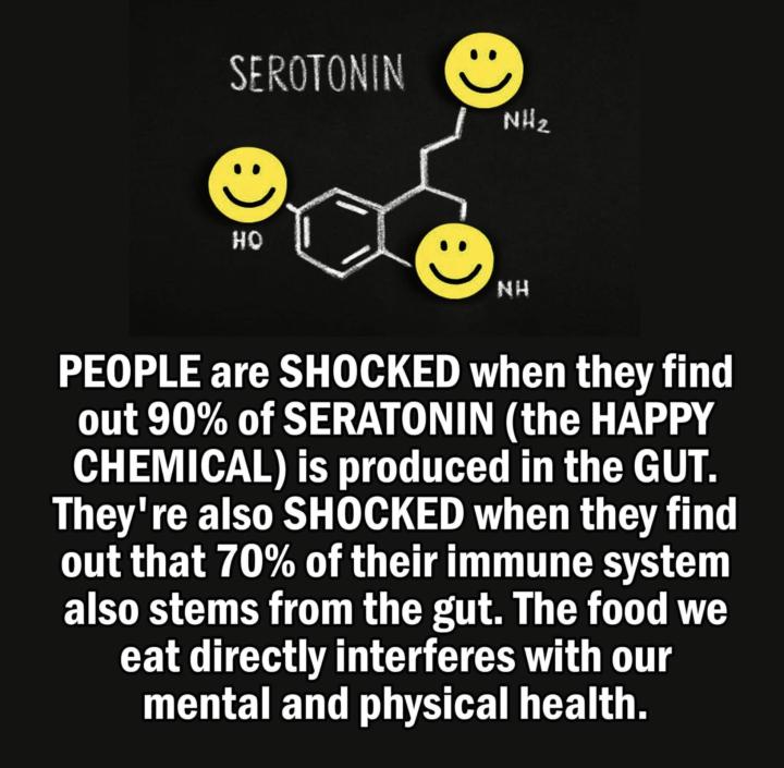 The Gut - Brain Connection: Bio-Hacking Happiness and Immunity