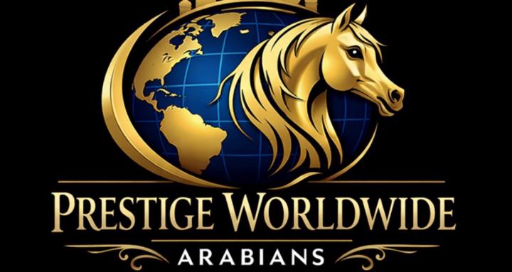 Prestige World Wide Arabians