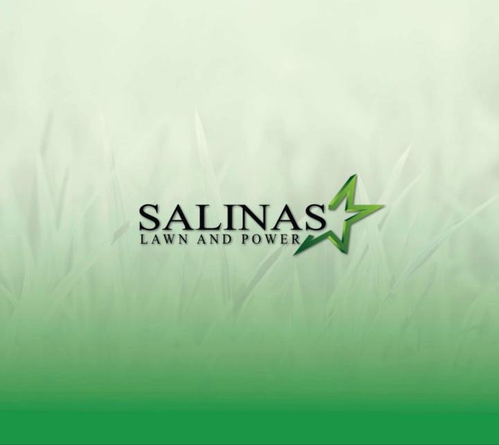 Guadalupe Salinas